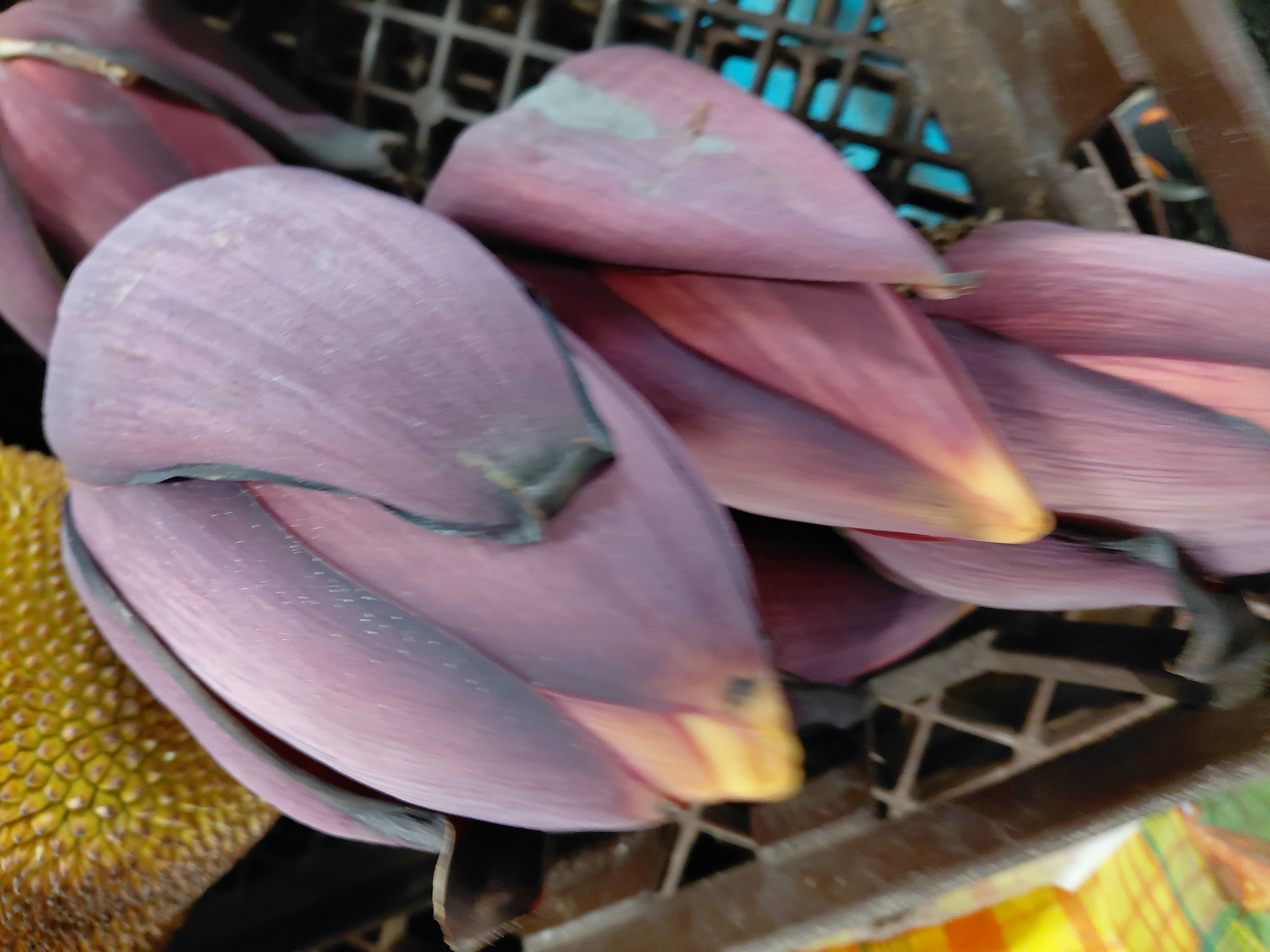 La fleur du bananier, appelée baba fig, entre dans plusieurs préparations réunionnaises.